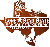 Lone Star State School of Taxidermy